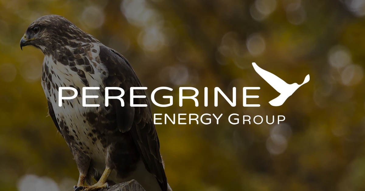 5e0fd4aa98f2dc32a6d01007_peregrine-ogimage-1